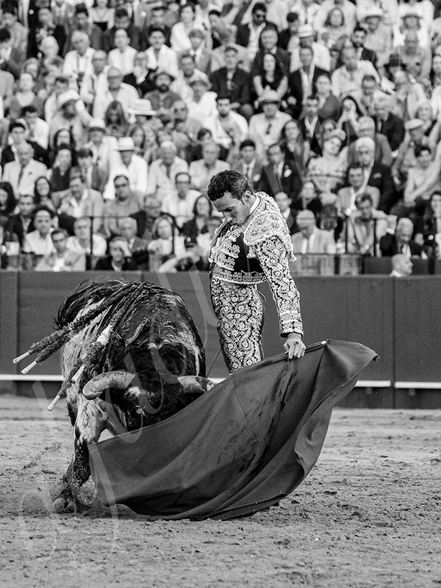 20260422 sevilla hd 037 copie