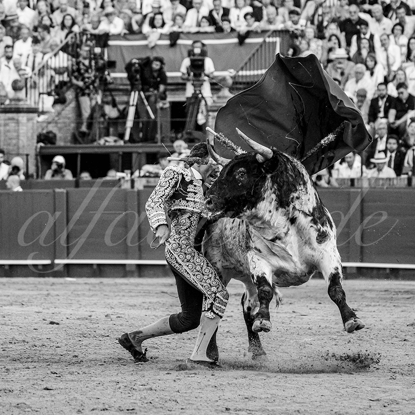 20260422 sevilla hd 036 copie