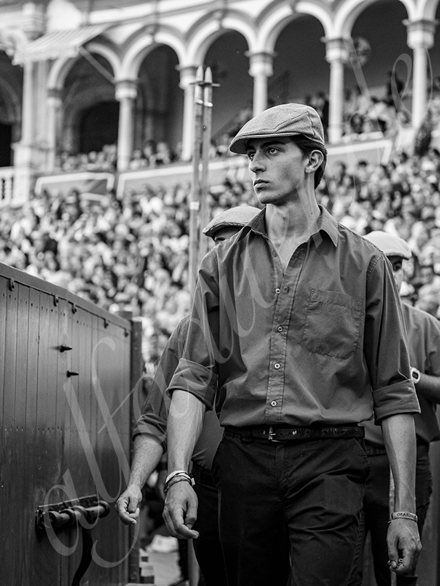 20260422 sevilla hd 035 copie