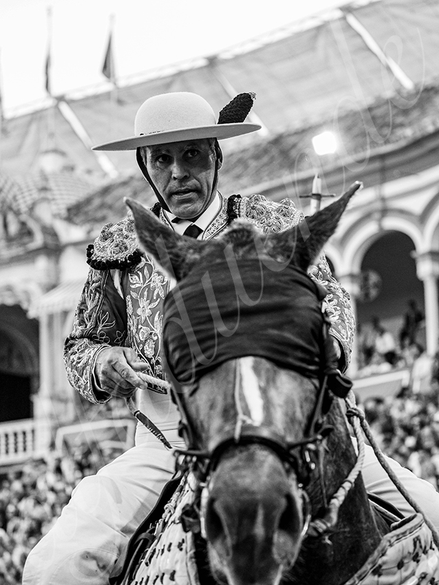 20260422 sevilla hd 034 copie