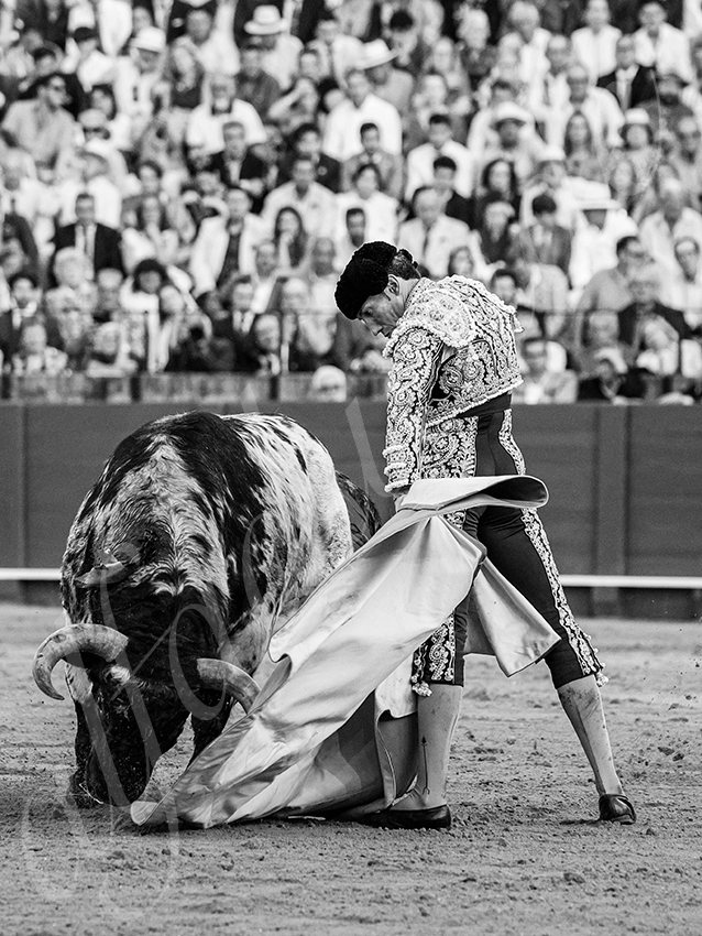 20260422 sevilla hd 033 copie