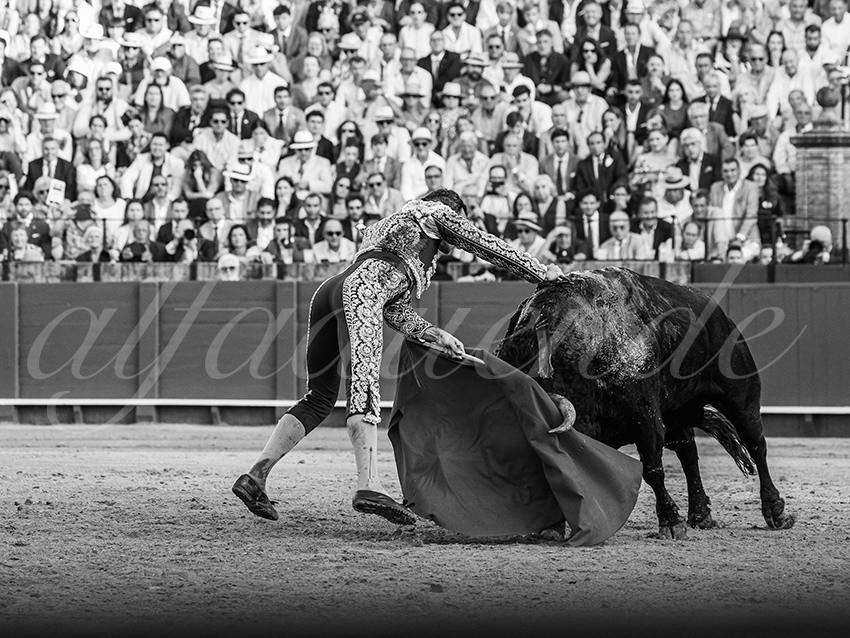 20260422 sevilla hd 032 copie