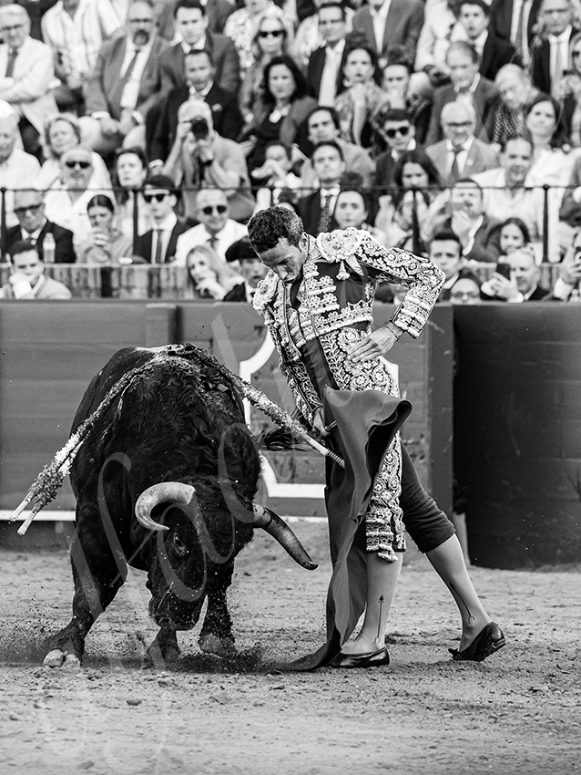 20260422 sevilla hd 031 copie