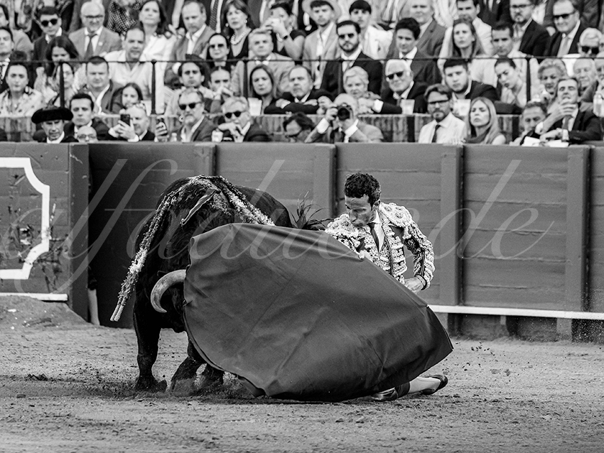 20260422 sevilla hd 030 copie