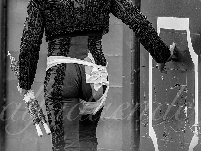 20260422 sevilla hd 028 copie