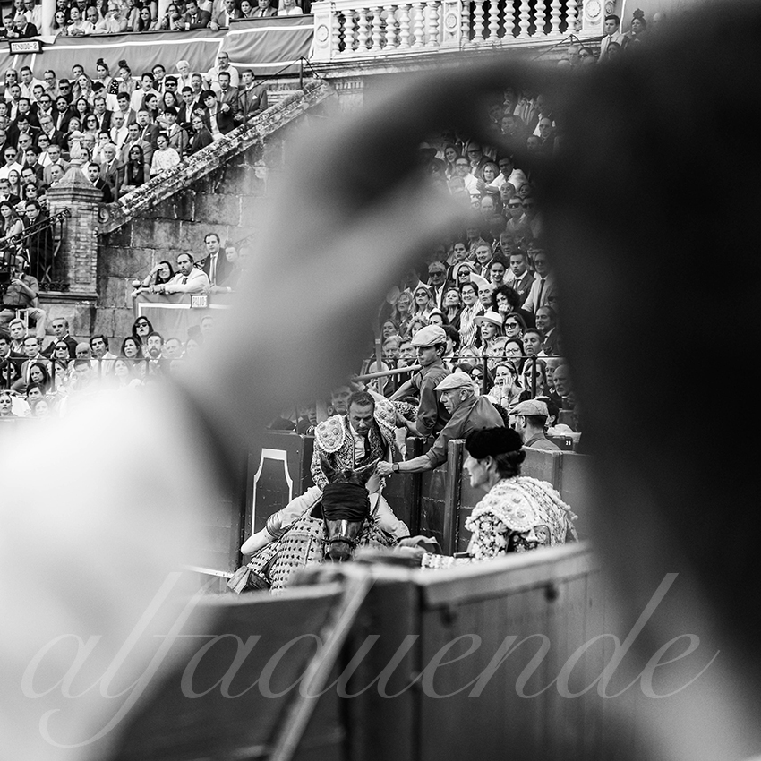 20260422 sevilla hd 027 copie