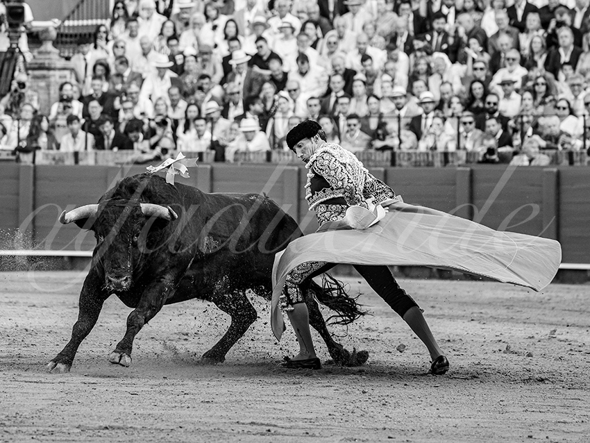 20260422 sevilla hd 026 copie