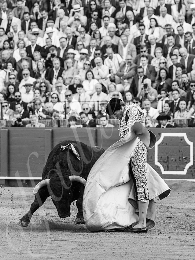 20260422 sevilla hd 025 copie