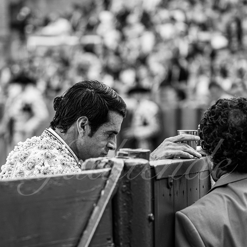 20260422 sevilla hd 024 copie