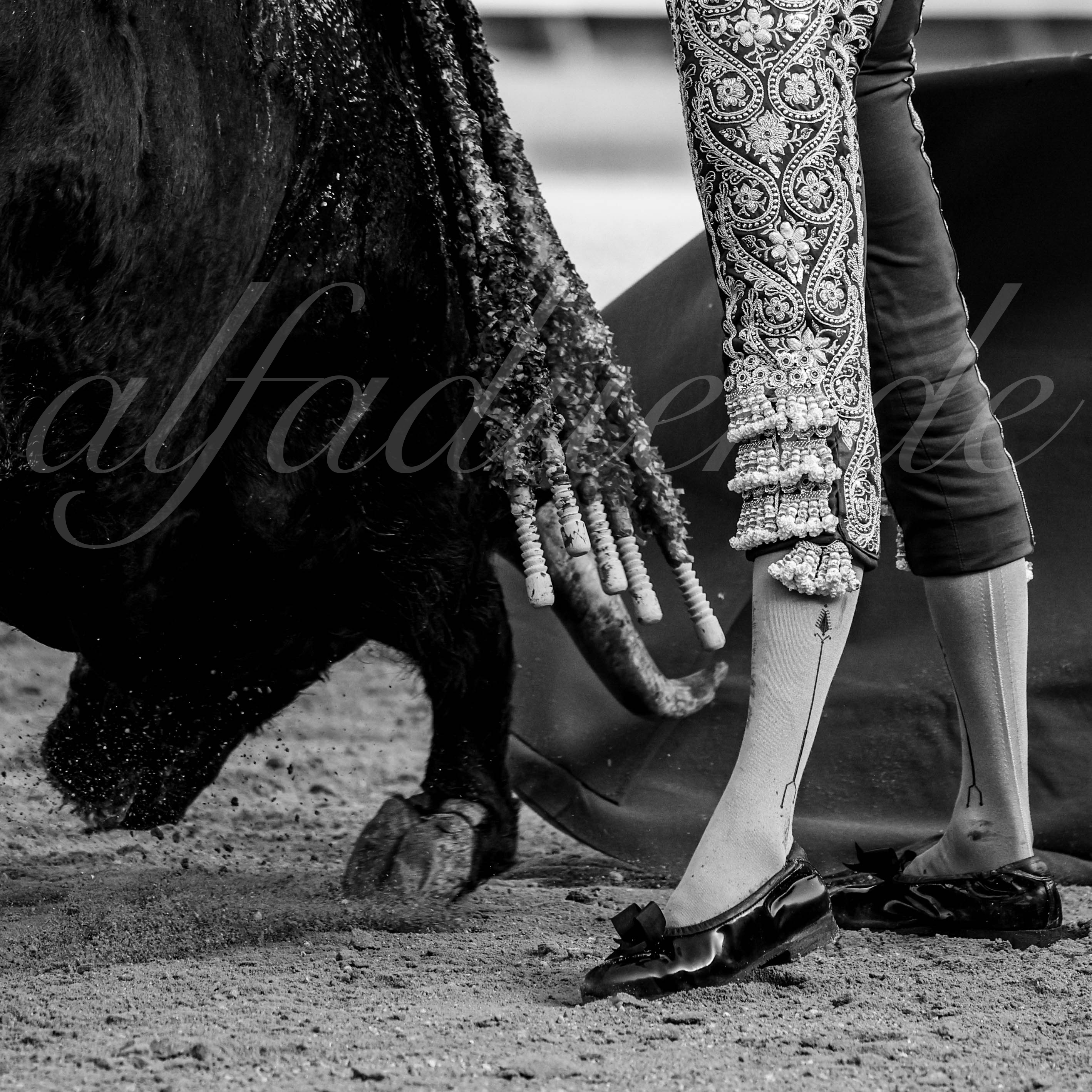 20260422 sevilla hd 023 copie