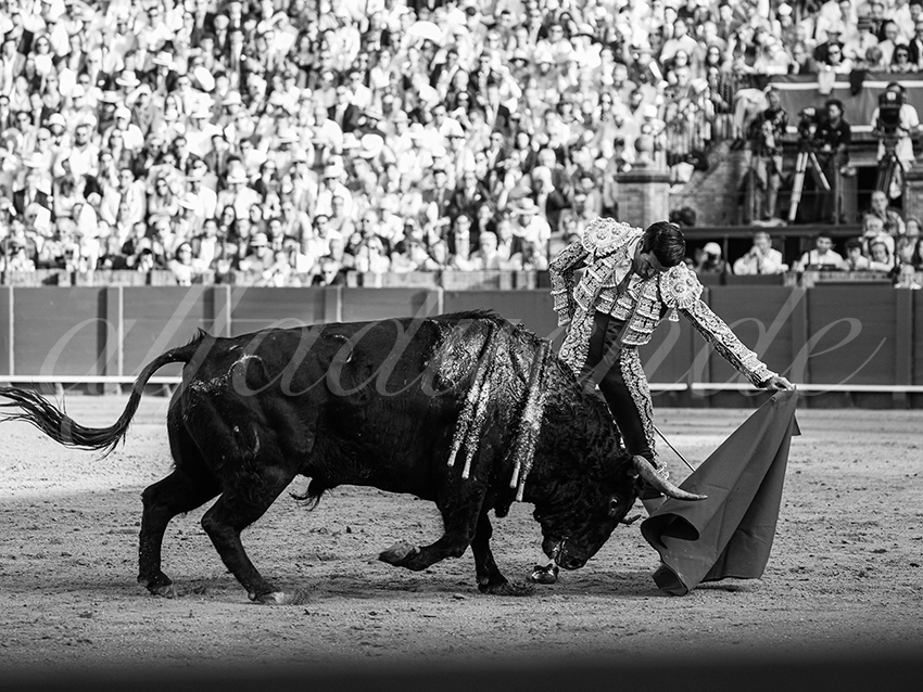 20260422 sevilla hd 022 copie