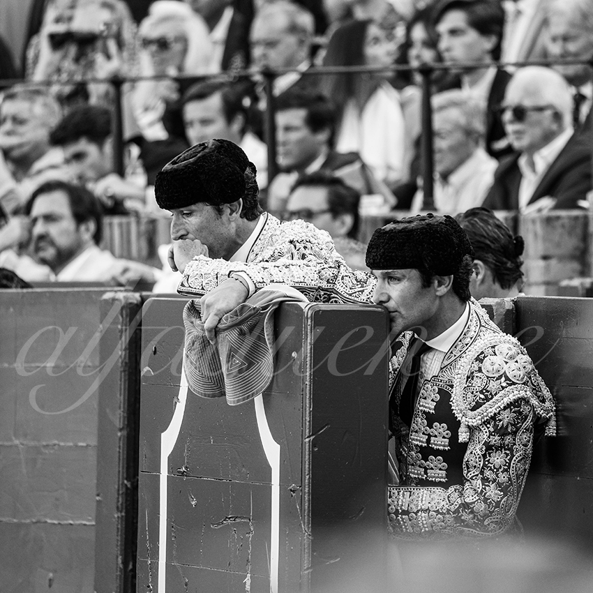 20260422 sevilla hd 021 copie