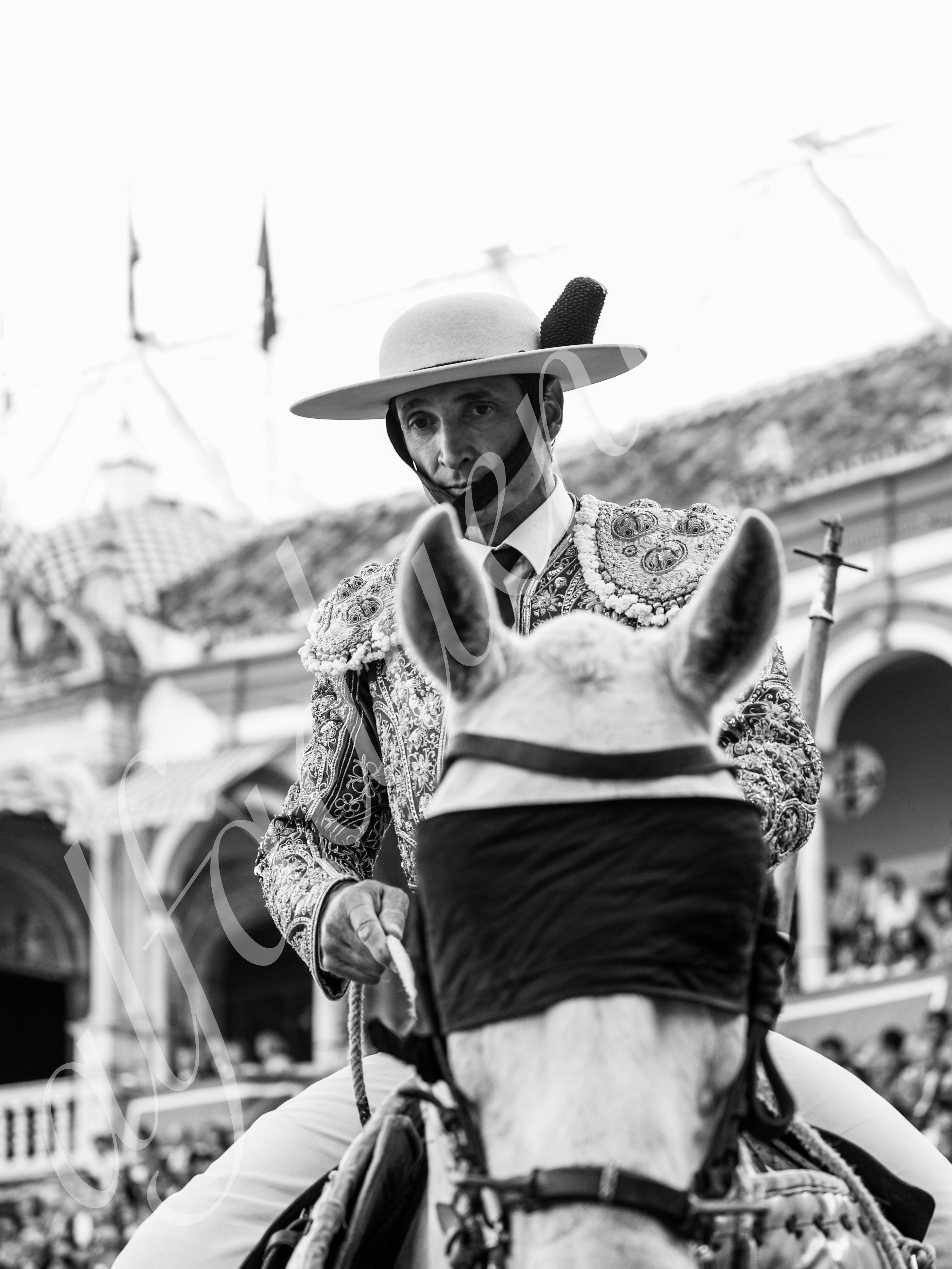 20260422 sevilla hd 020 copie