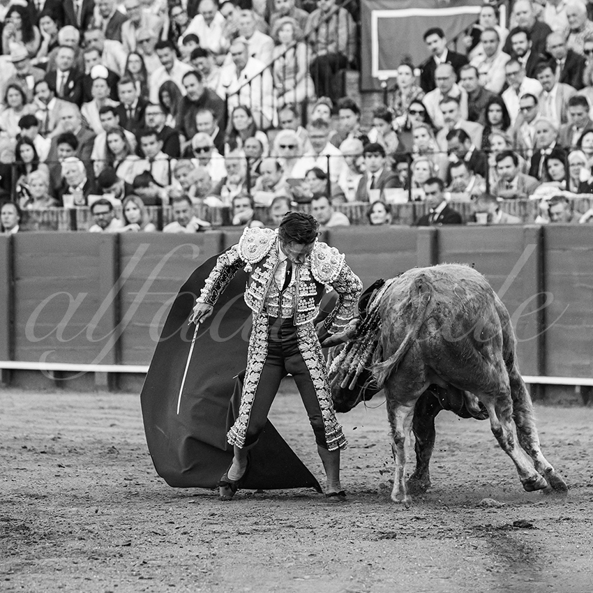 20260422 sevilla hd 019 copie