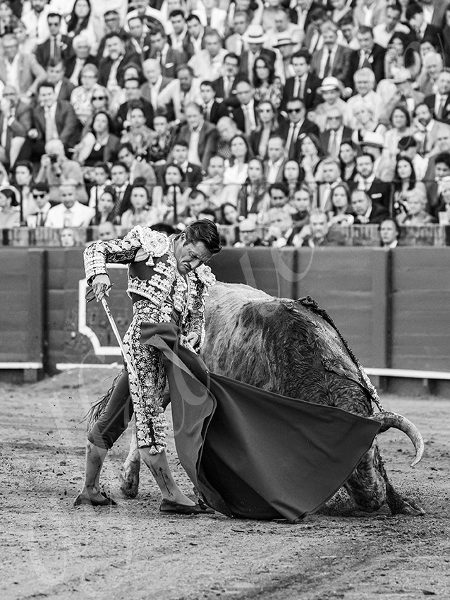 20260422 sevilla hd 018 copie