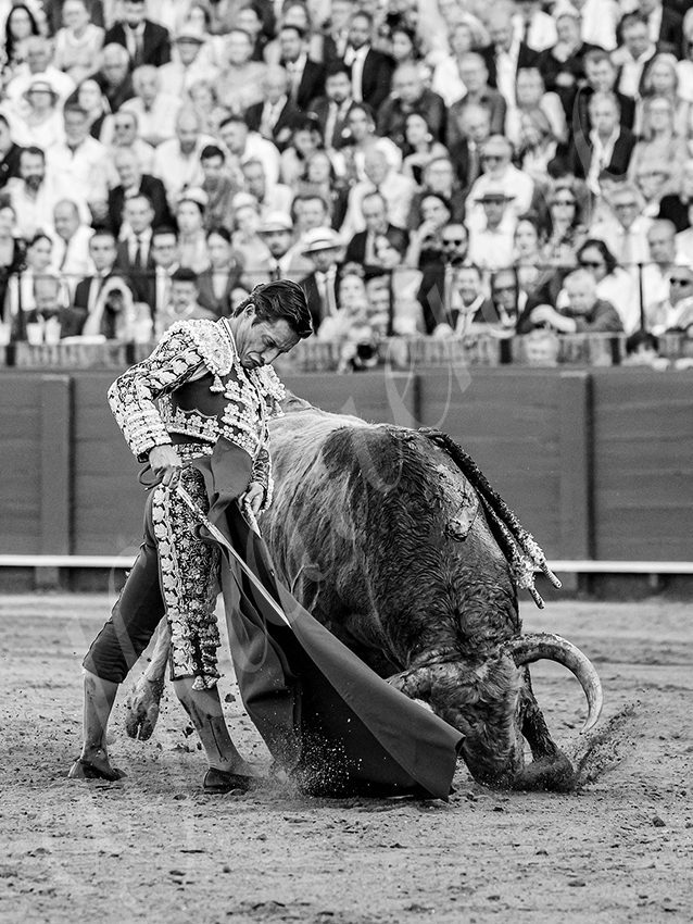 20260422 sevilla hd 017 copie