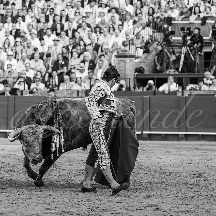 20260422 sevilla hd 016 copie