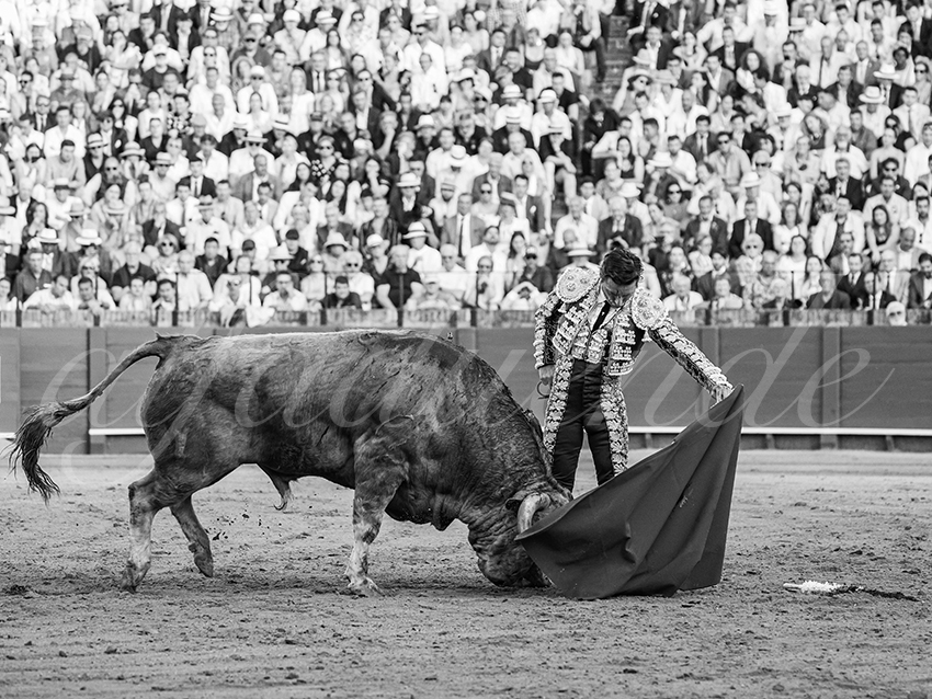 20260422 sevilla hd 015 copie