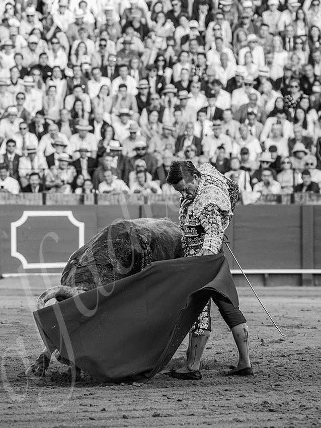 20260422 sevilla hd 014 copie