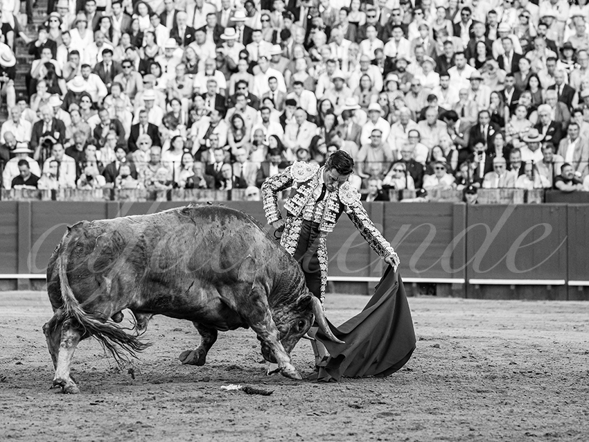 20260422 sevilla hd 012 copie