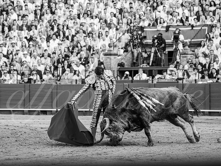 20260422 sevilla hd 010 copie