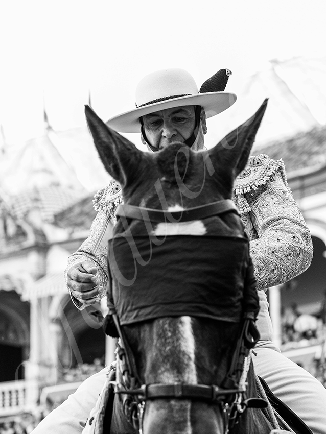 20260422 sevilla hd 009 copie