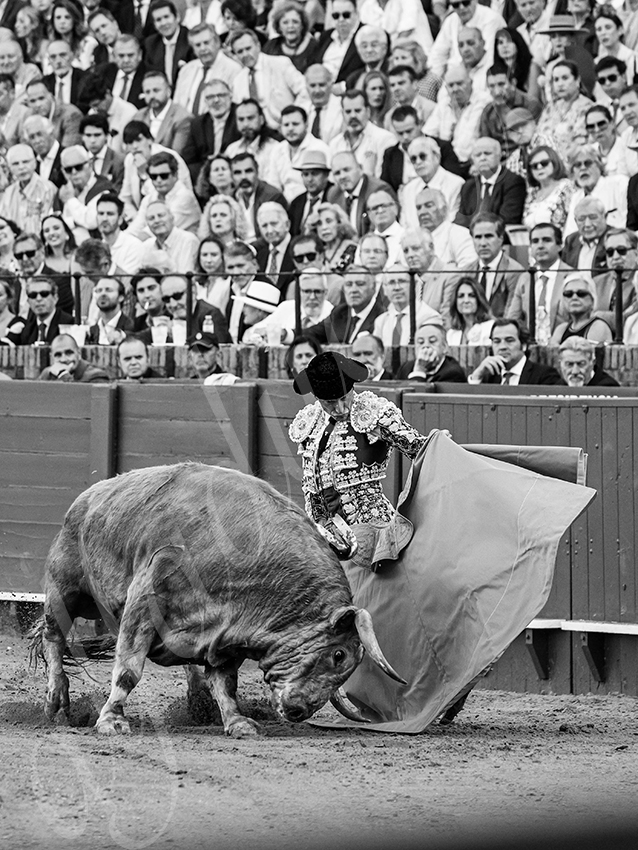 20260422 sevilla hd 008 copie