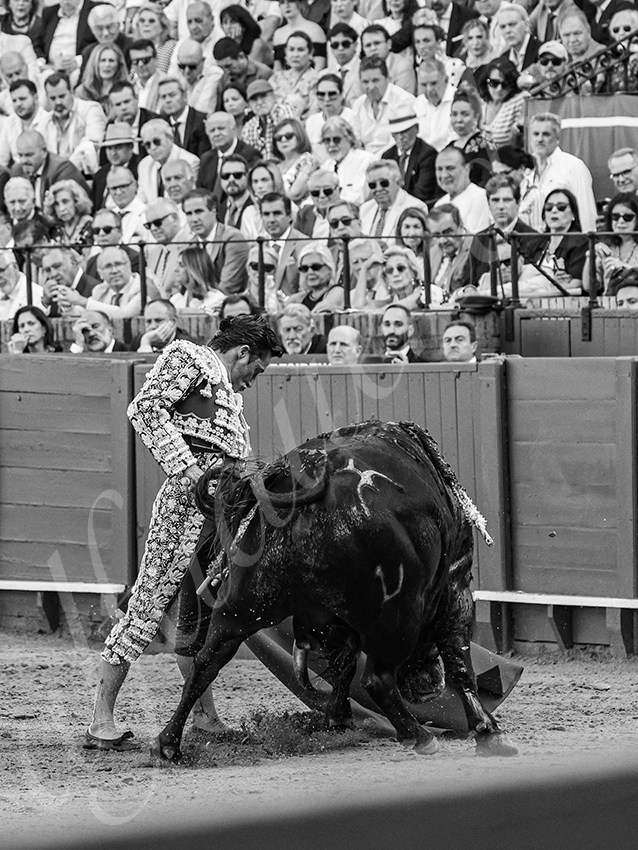 20260422 sevilla hd 007 copie