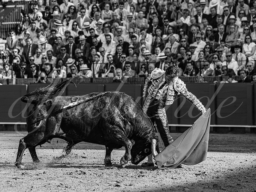 20260422 sevilla hd 006 copie