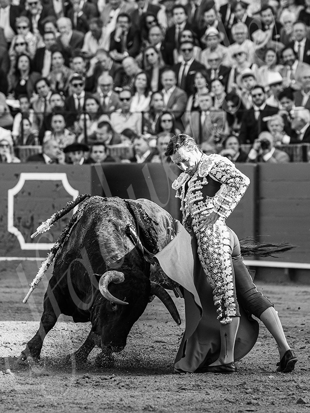 20260422 sevilla hd 005 copie