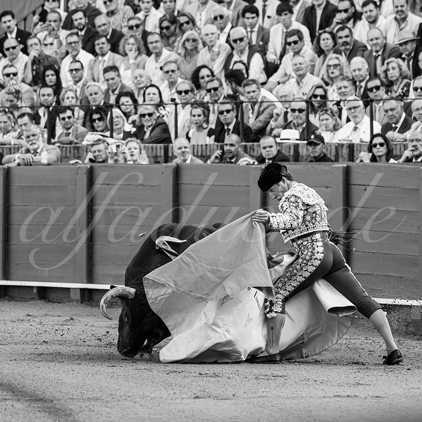 20260422 sevilla hd 003 copie