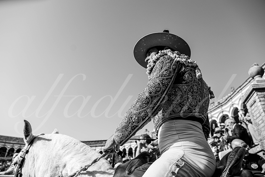 20260422 sevilla hd 002 copie