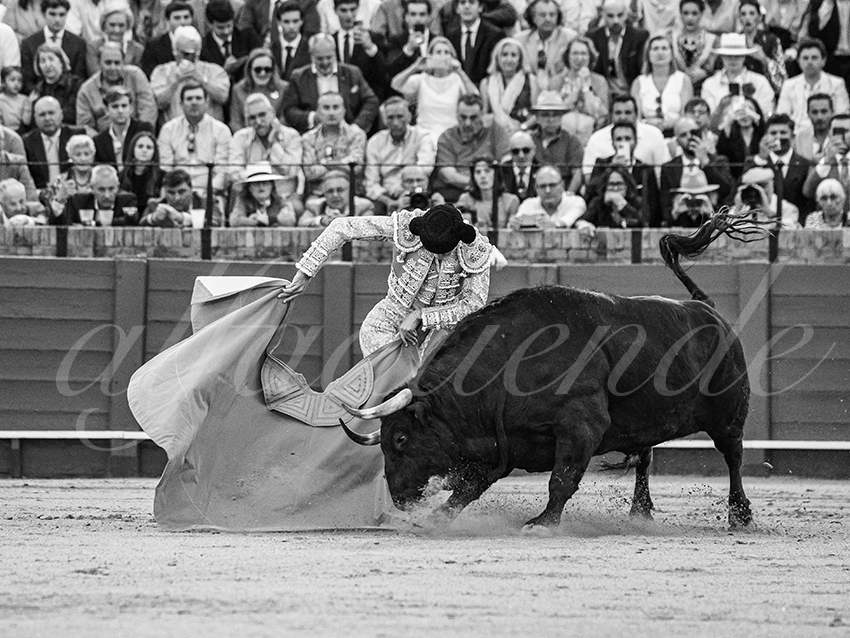 20260423 sevilla fd 033 copie