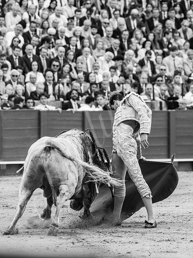 20260423 sevilla fd 031 copie