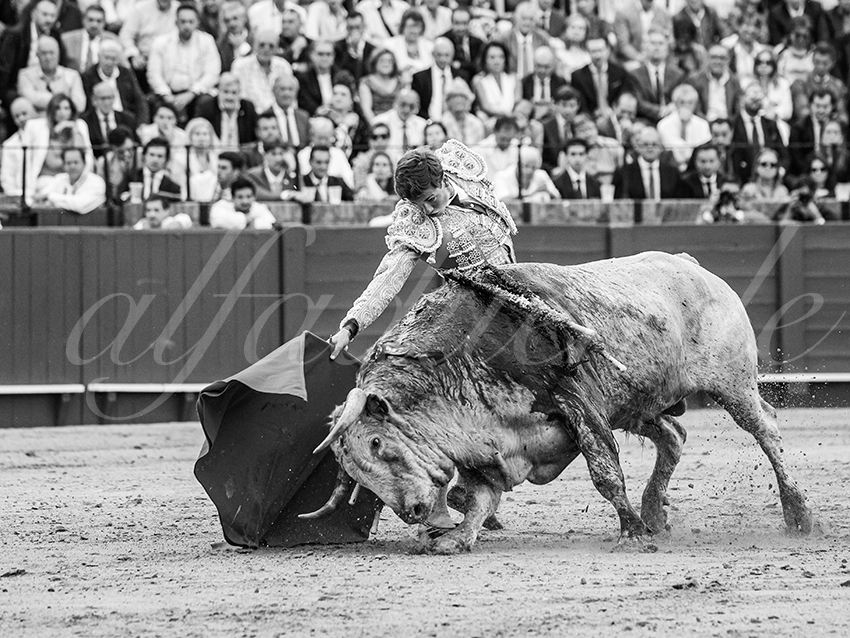 20260423 sevilla fd 029 copie