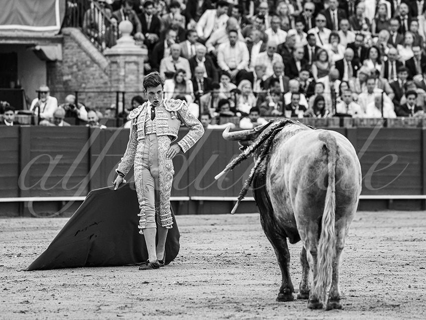 20260423 sevilla fd 027 copie