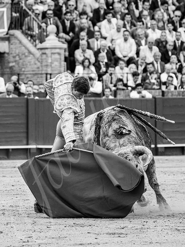 20260423 sevilla fd 026 copie