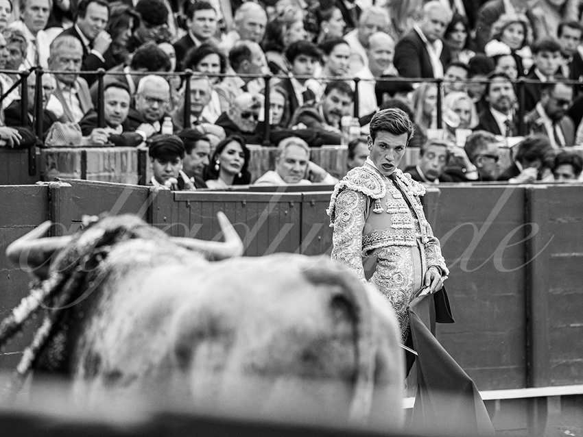 20260423 sevilla fd 025 copie