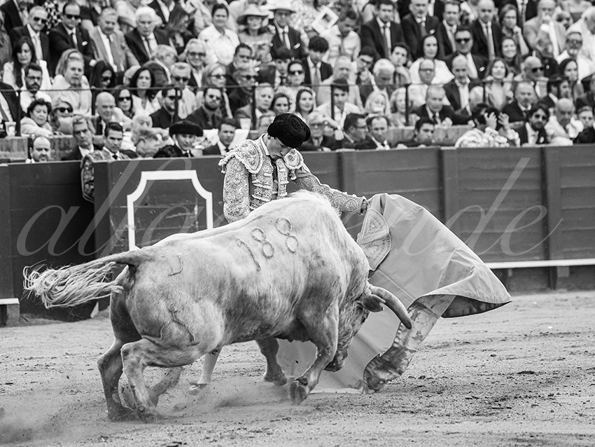 20260423 sevilla fd 024 copie