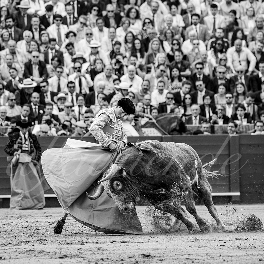 20260423 sevilla fd 023 copie