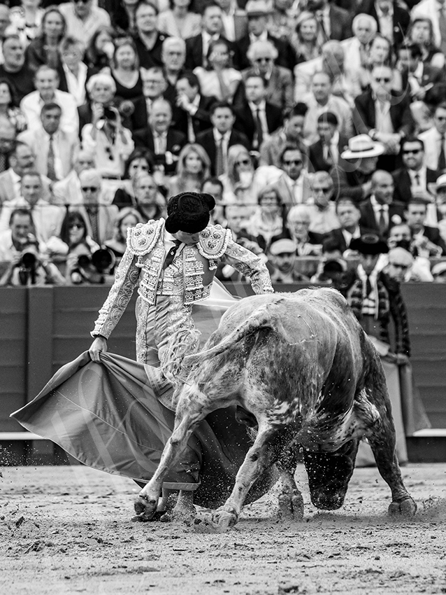 20260423 sevilla fd 022 copie