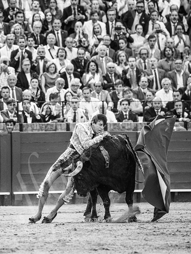 20260423 sevilla fd 020 copie
