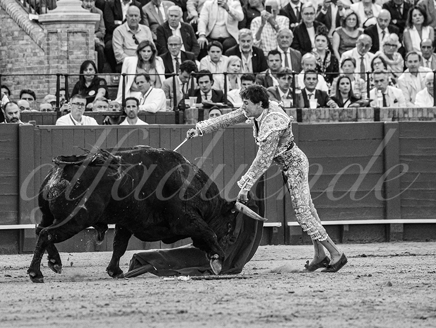 20260423 sevilla fd 019 copie