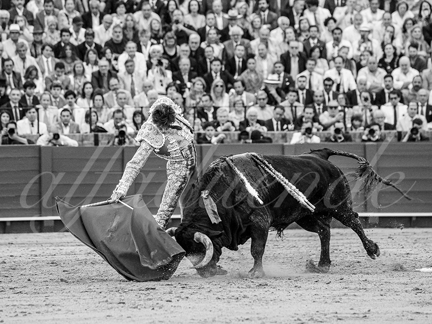 20260423 sevilla fd 018 copie