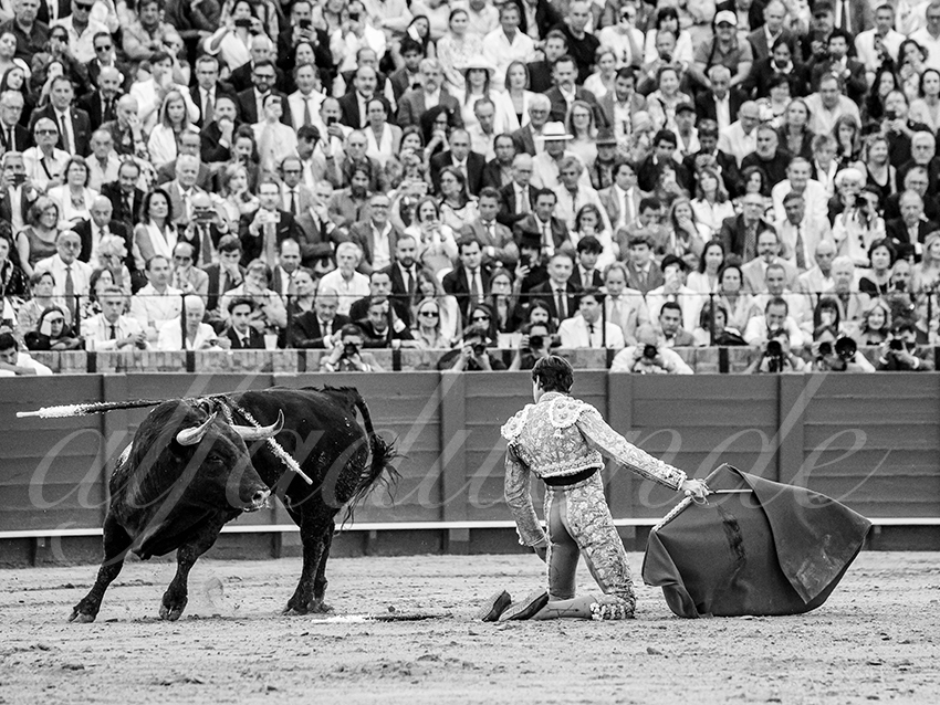 20260423 sevilla fd 017 copie