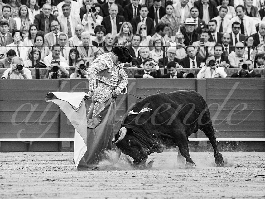 20260423 sevilla fd 015 copie