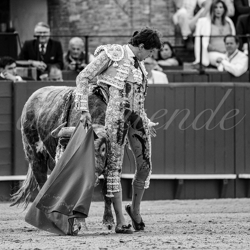 20260423 sevilla fd 014 copie