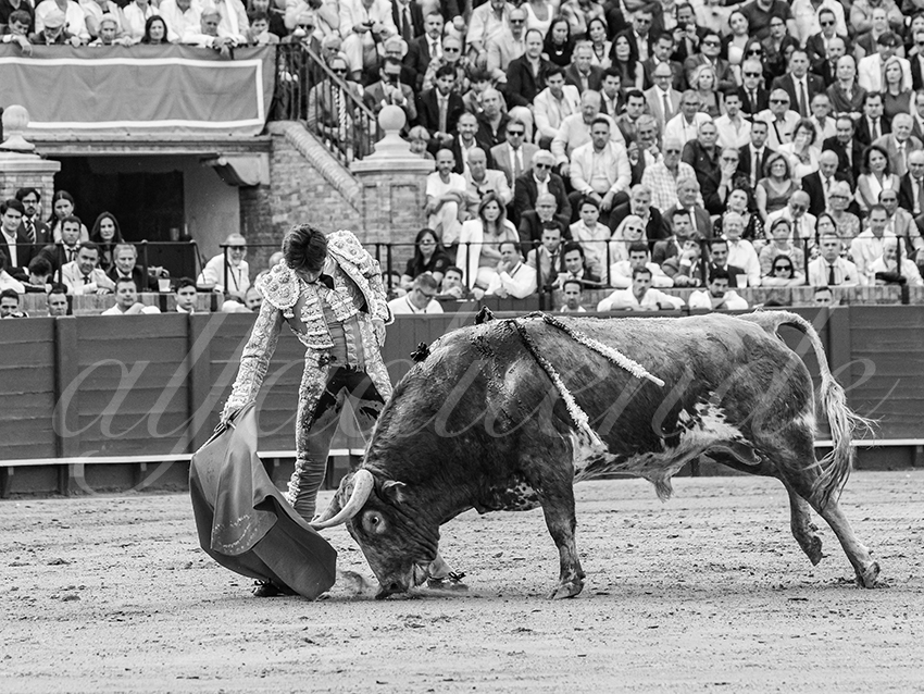 20260423 sevilla fd 011 copie