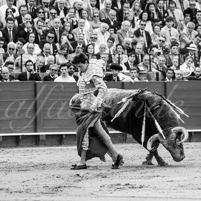 20260423 sevilla fd 009 copie