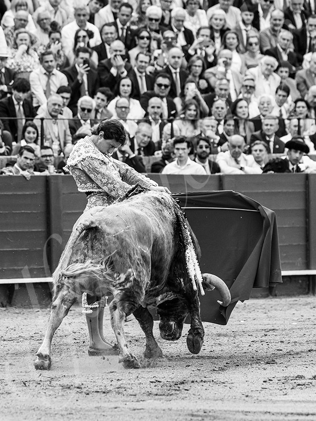20260423 sevilla fd 008 copie